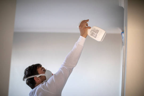 Best Basement Mold Remediation in Copperas Cove, TX