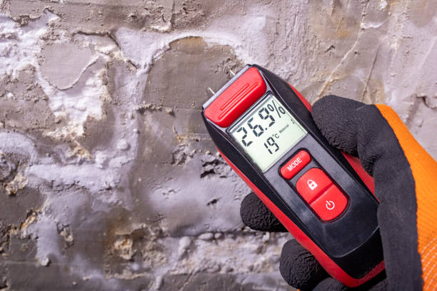 Best Crawl Space Mold Remediation in Copperas Cove, TX