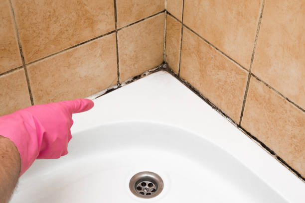 Best Emergency Mold Remediation in Copperas Cove, TX